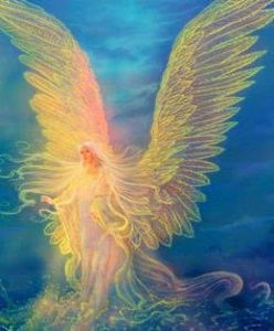 Meet your Posher, Elena